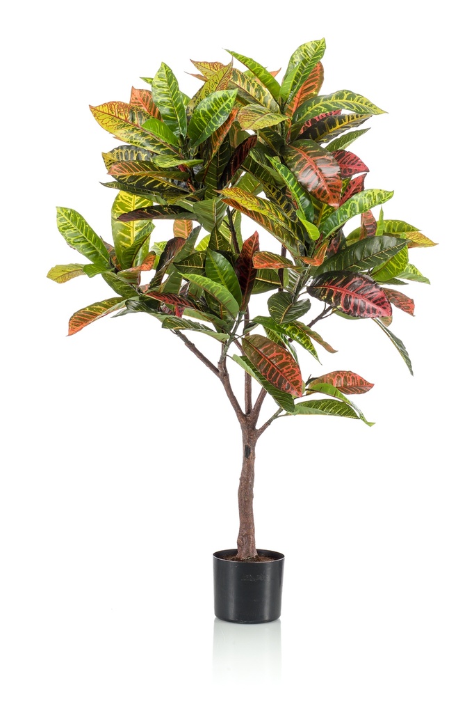 Croton artificiel