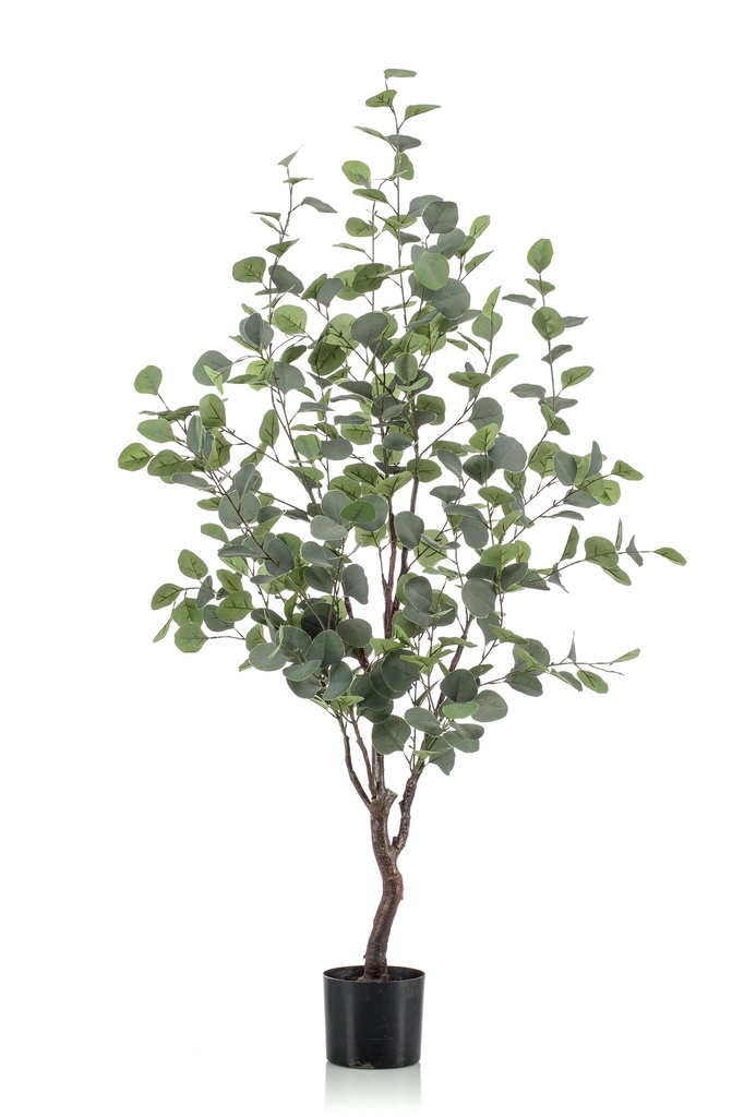 Eucalypthus artificiel