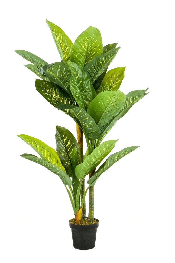Dieffenbachia artificiel