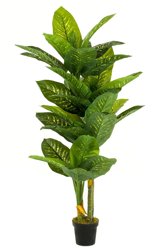 Dieffenbachia artificiel