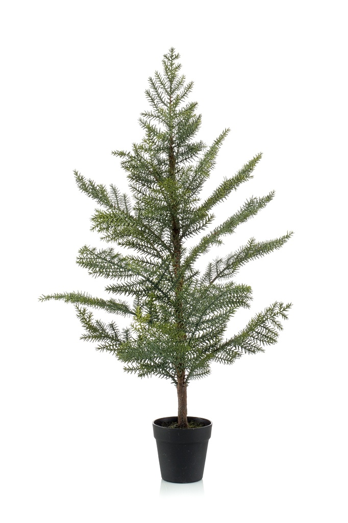 Araucaria artificiel