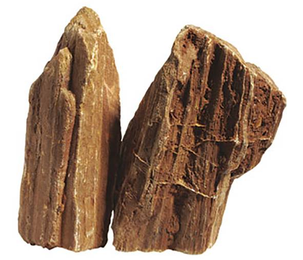 Bois fossilisé 2.3-2.7 kg