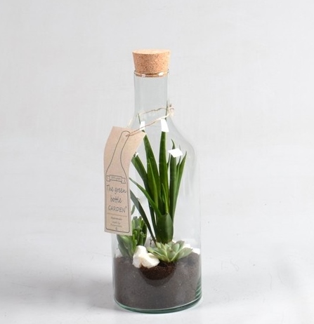 Arrangement Green
