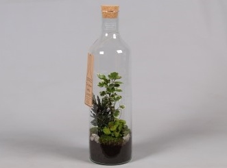 Arrangement Green