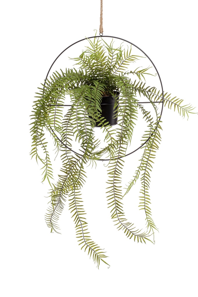 Fougère retombante sur arceau artificielle