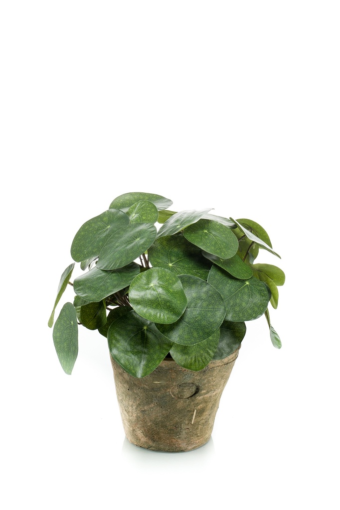 Pilea en pot antique artificiel