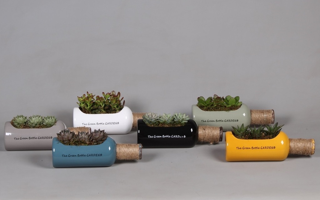 Arrangement bouteille