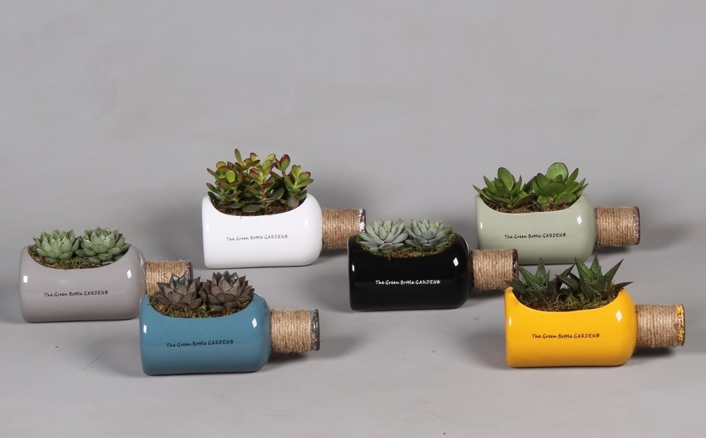 Arrangement bouteille