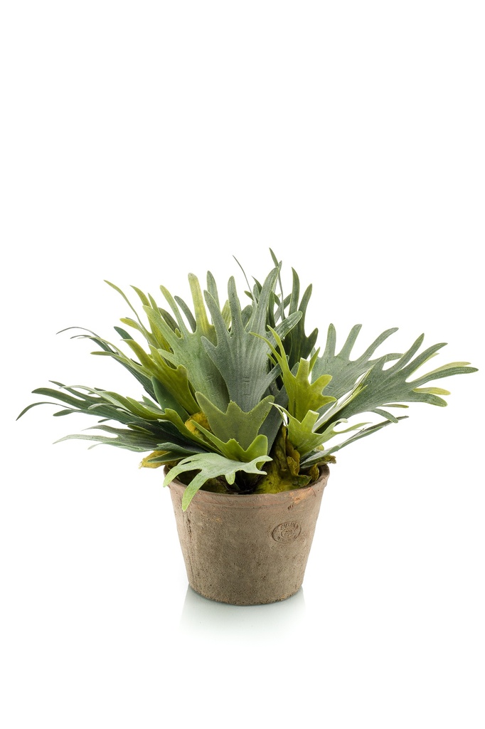 Platycerium artificiel