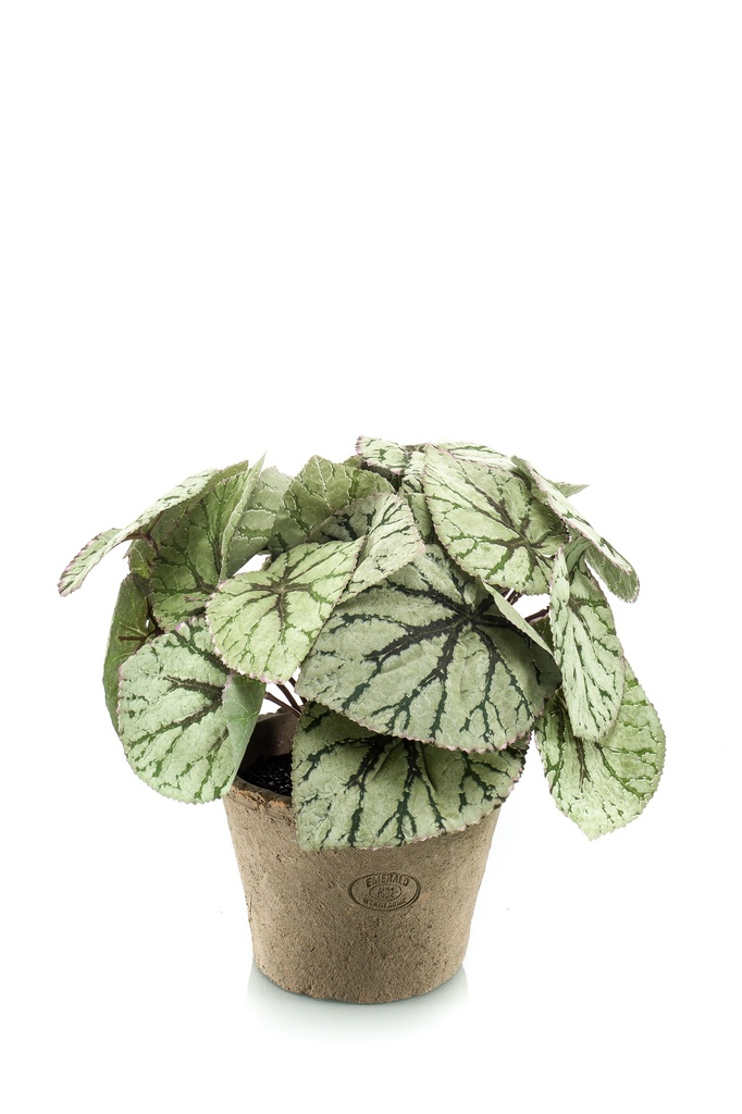 Bégonia Rex résistant UV en pot antique artificiel