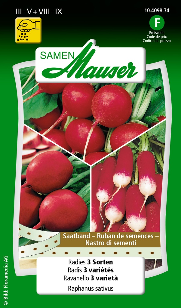 Ruban de semences radis 3 variétés