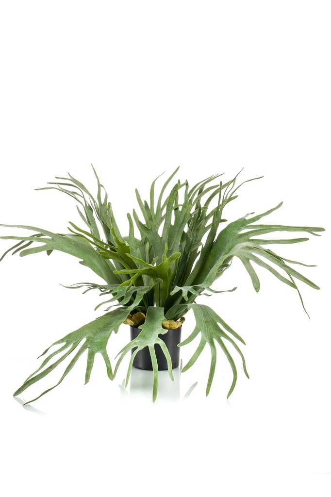 Platycerium artificiel