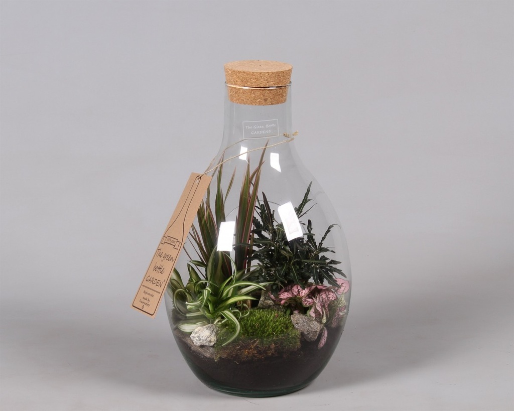 Arrangement Green