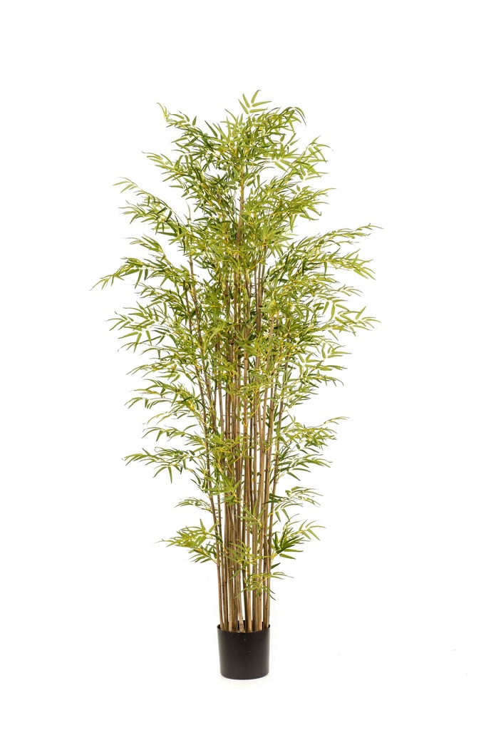 Bambou japonais artificiel