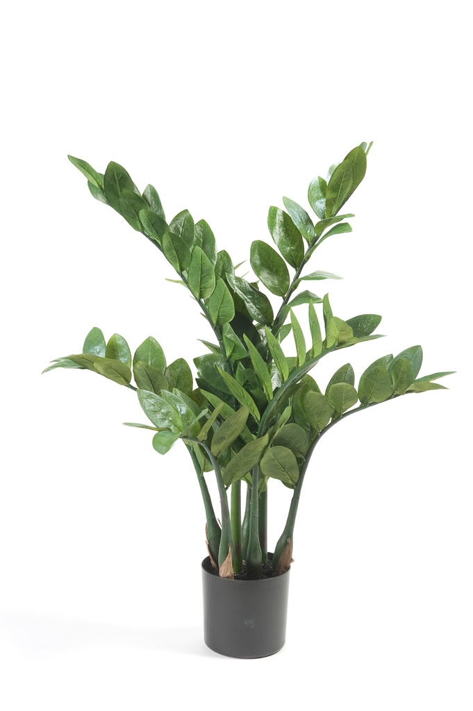 Zamioculcas artificiel