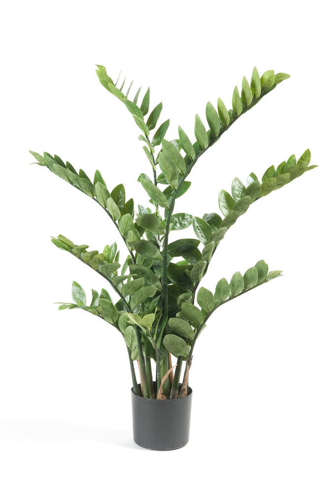 Zamioculcas artificiel