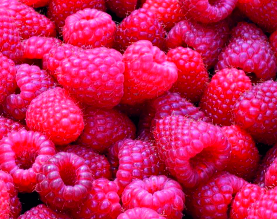 Framboisier 'Polka'