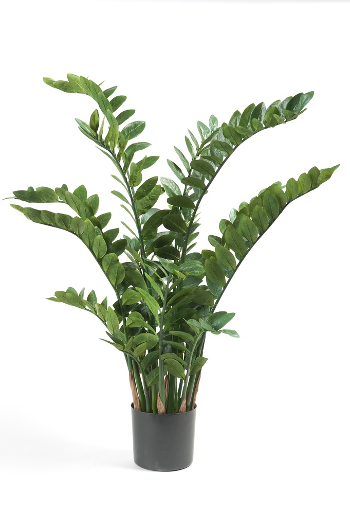 Zamioculcas artificiel