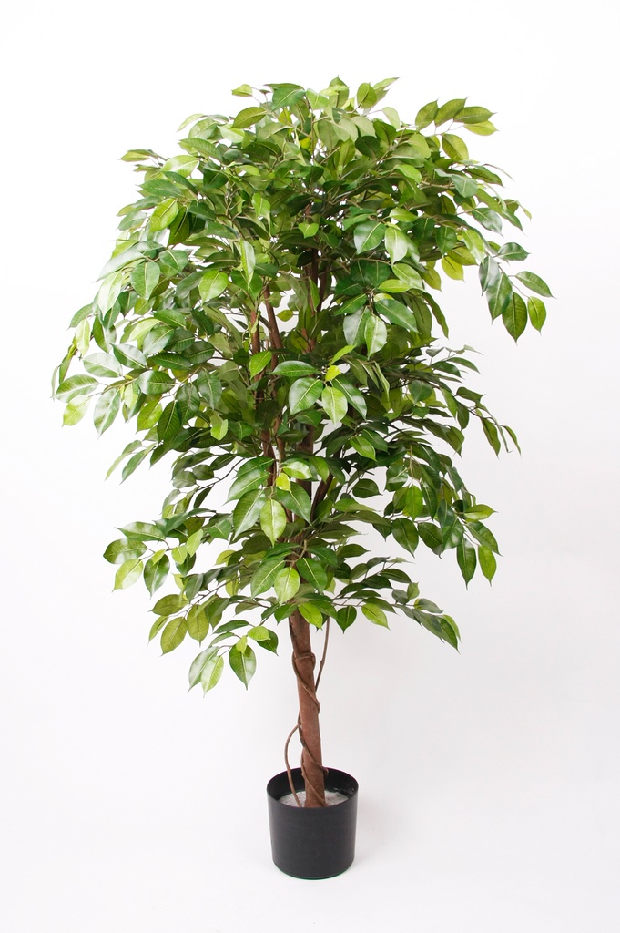 Ficus deluxe artificiel