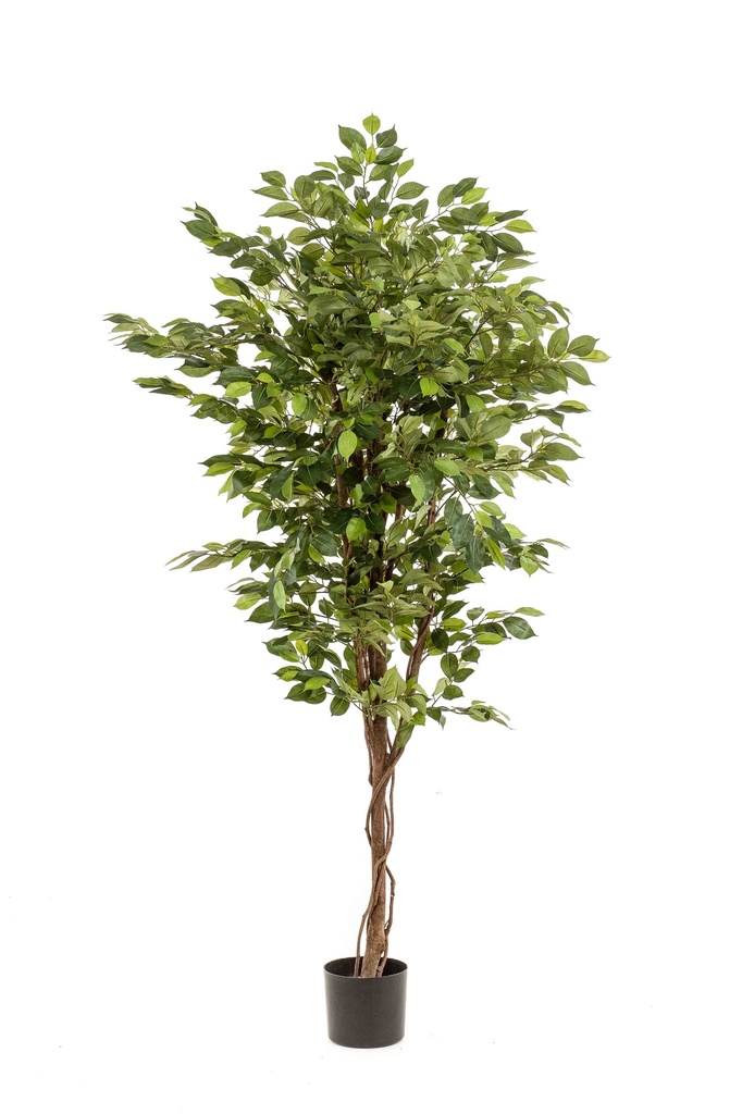 Ficus deluxe artificiel