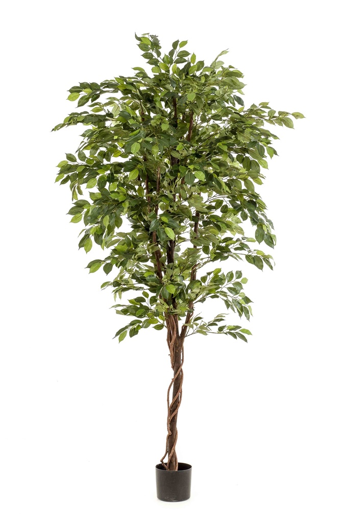 Ficus deluxe artificiel