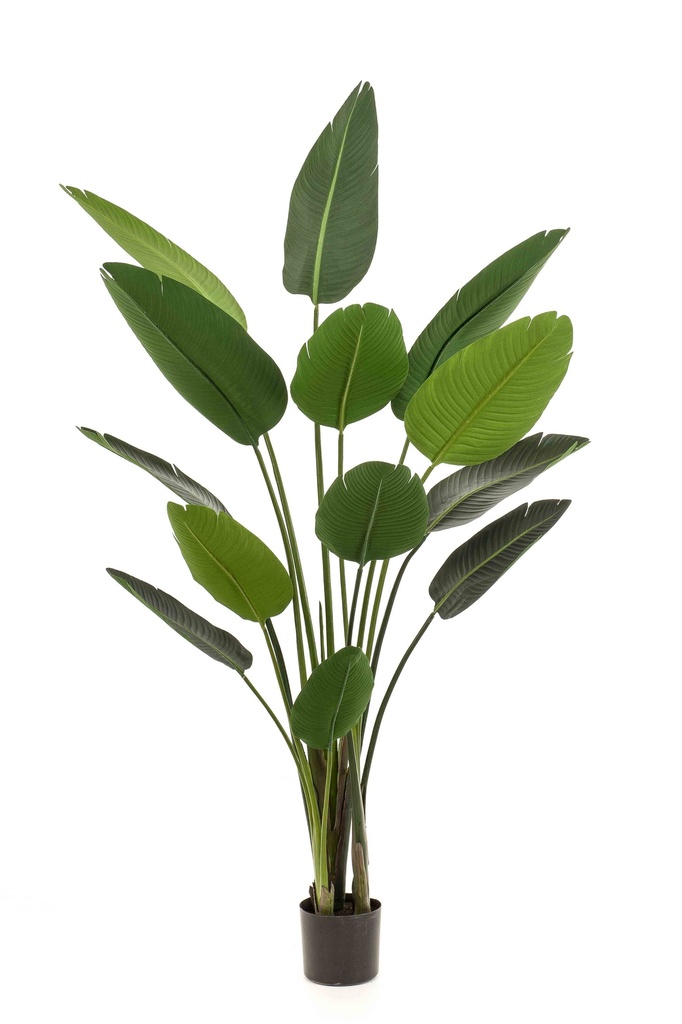 Strelitzia artificiel