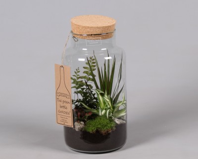 Arrangement Green