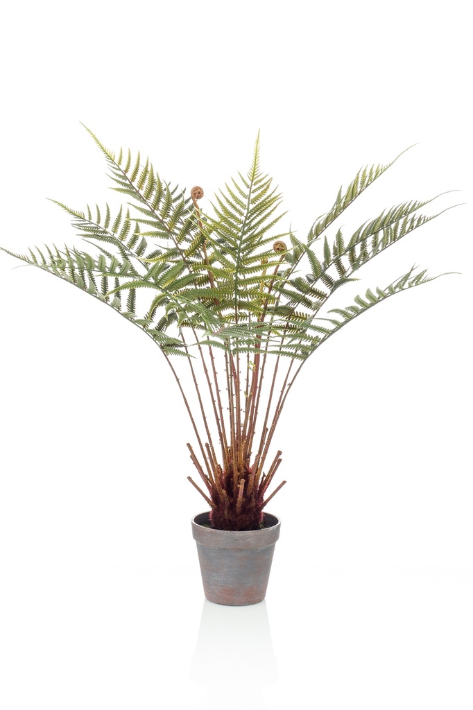 Fougère arborescente artificielle