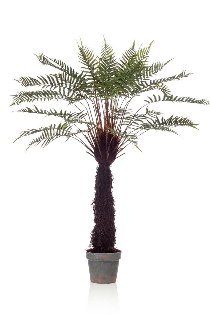 Fougère arborescente artificielle