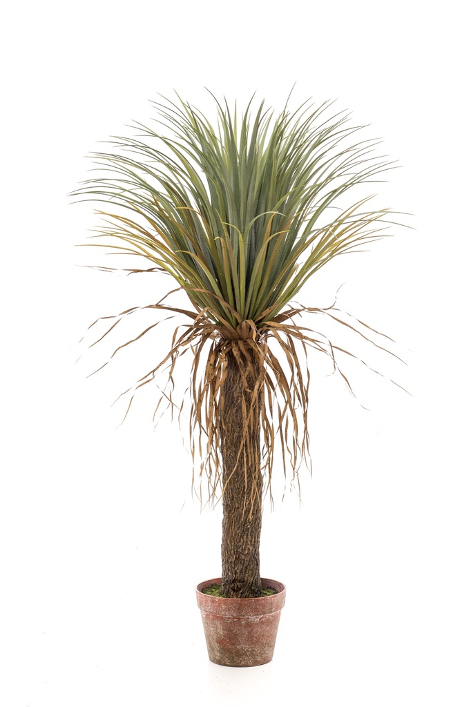 Yucca sauvage artificiel