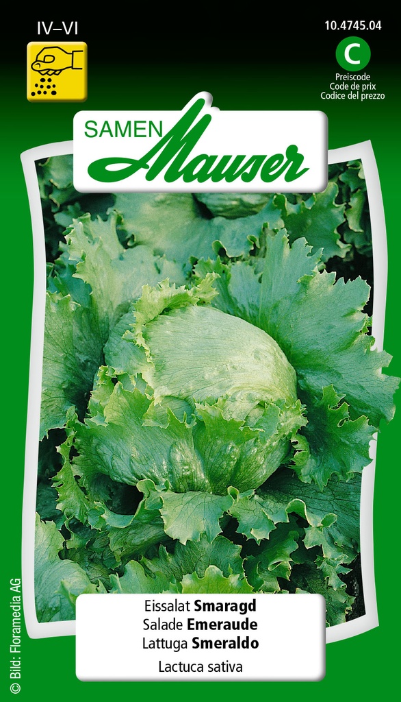 Salade iceberg émeraude