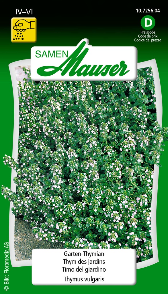 Thym d'hiver/thym des jardins