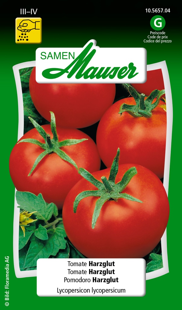 Tomate Harzglut