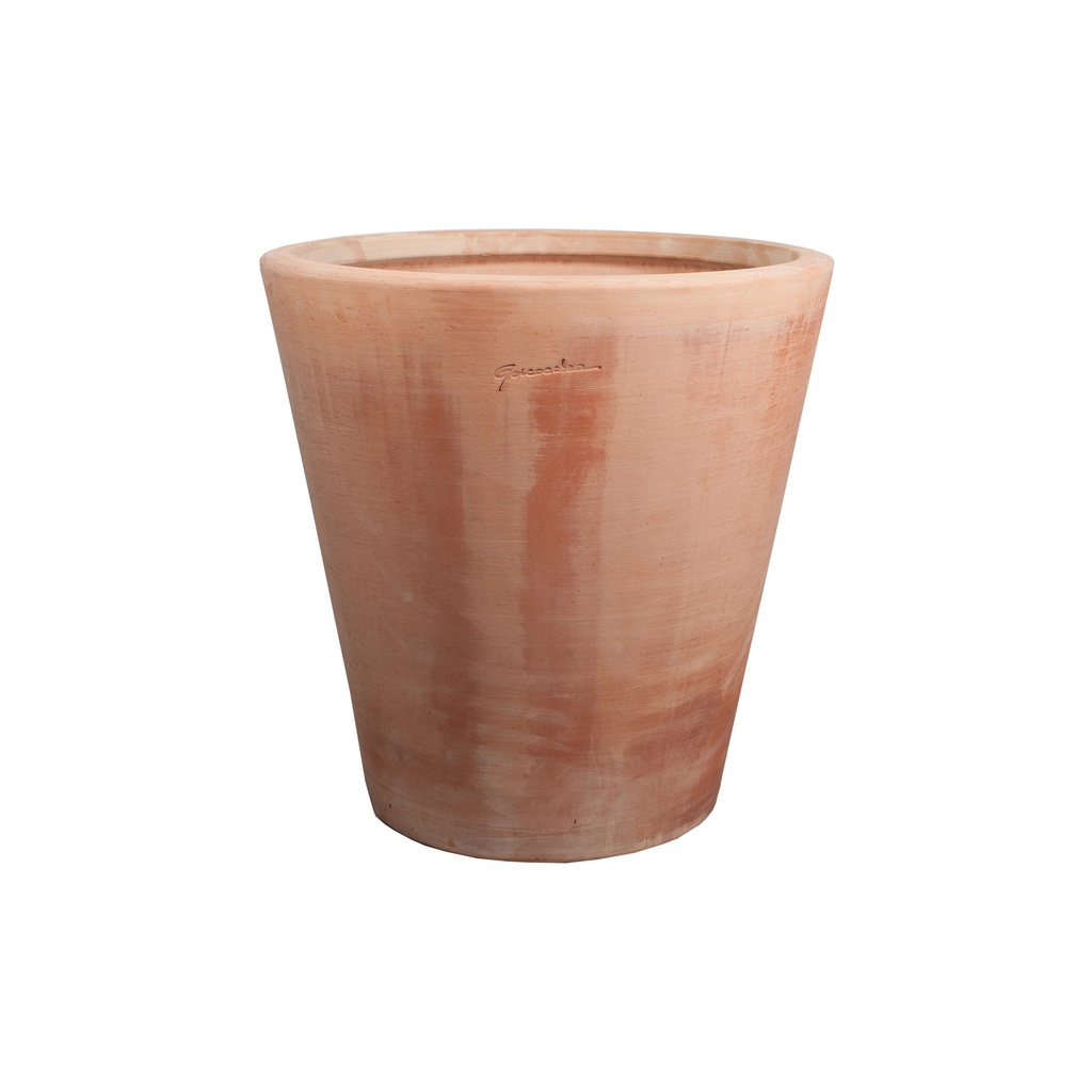 Cuvier contemporain 45*45