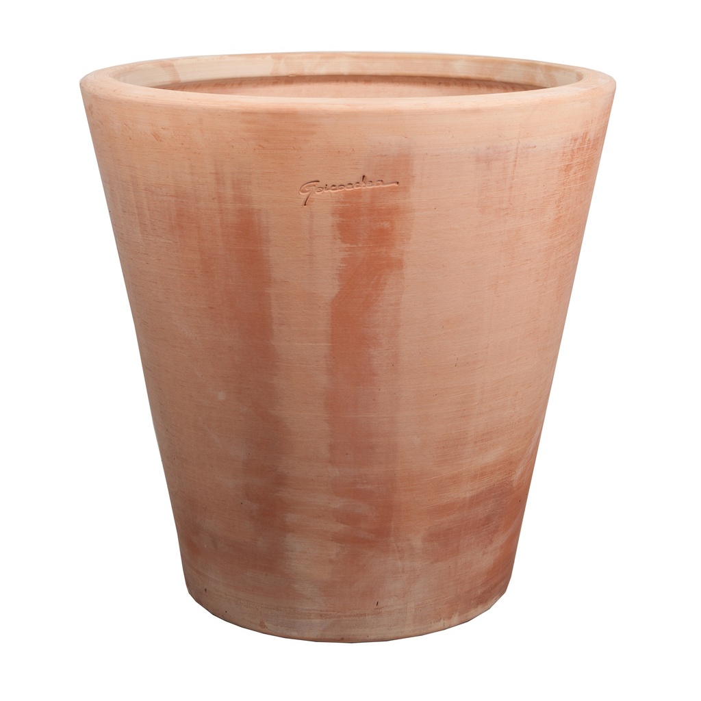 Cuvier contemporain 60*60