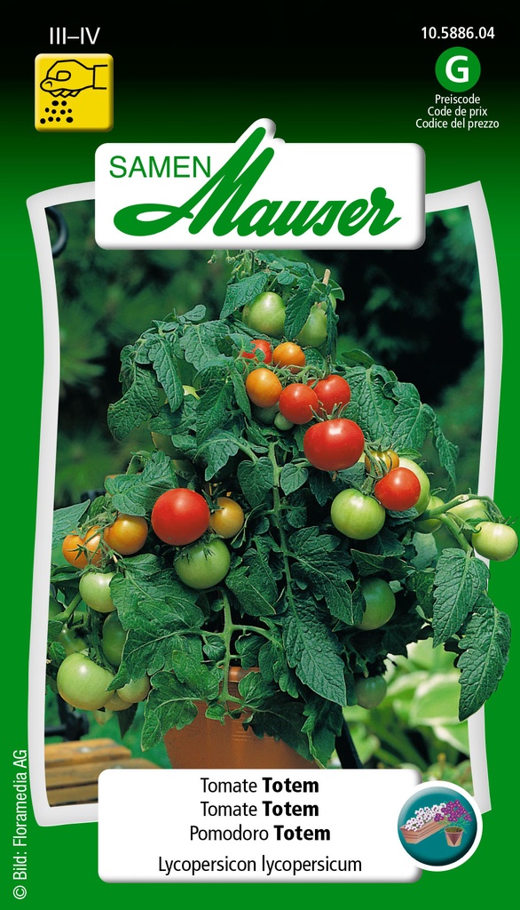 Tomate totem pour pot / balcon