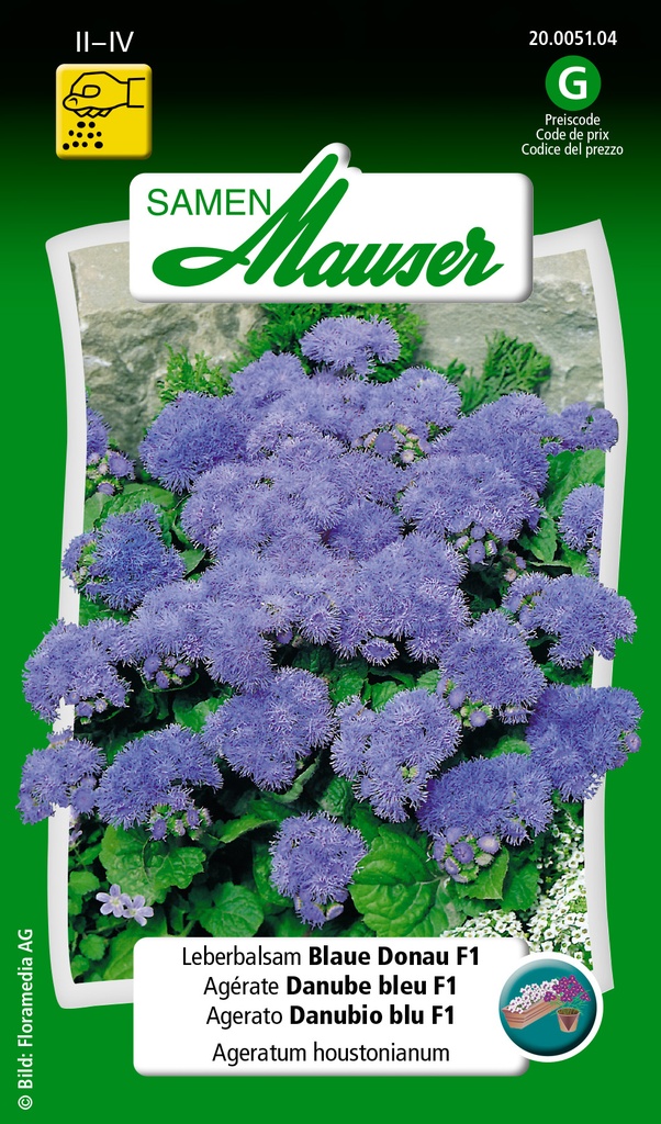 Ageratum F1 bleu danube