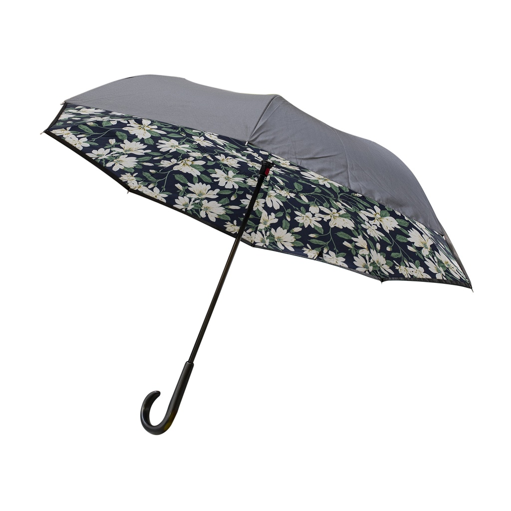 Parapluie Noumea