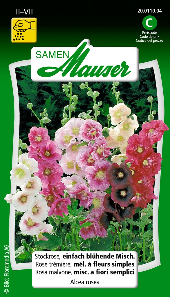 Rose trémière Alcea rosea  mélange simple