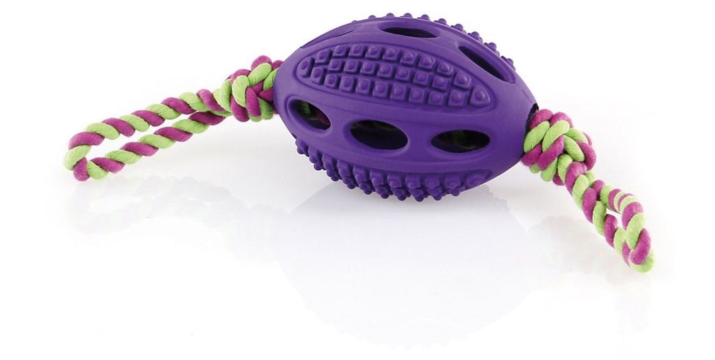 Go Dog Football mit Seil S.L=32cm violet