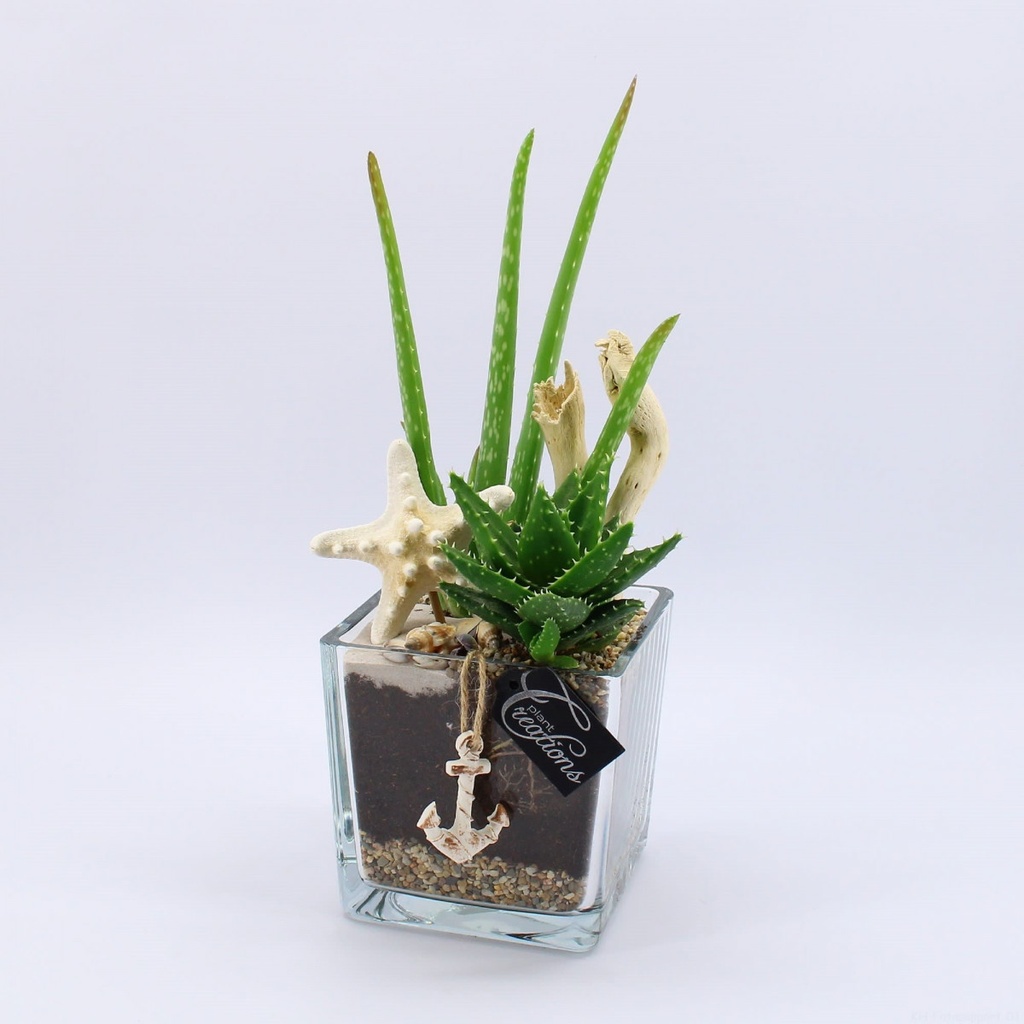 Arrangement