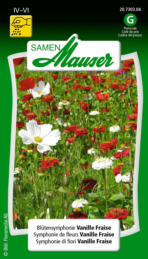 Symphonie de fleurs Vanille Fraise