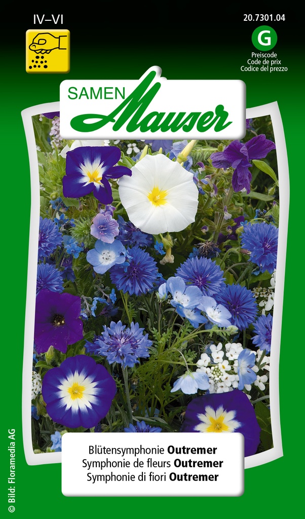 Symphonie de fleurs Outremer