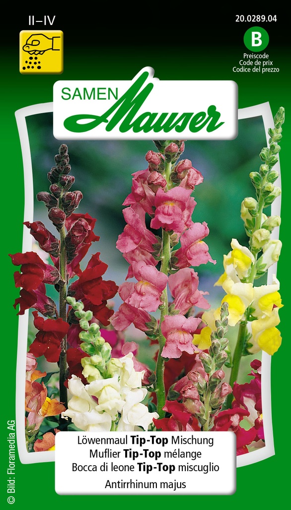 Antirrhinum F1 mélange( murflier Tip-Top)