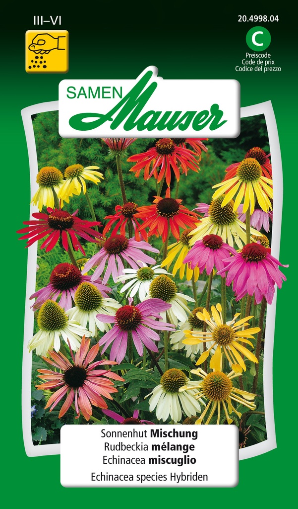 Rudbeckia mélange