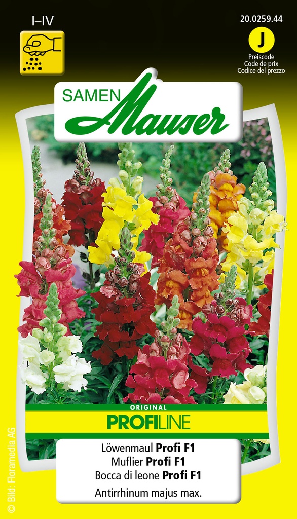 Antirrhinum F1 Selma Profi