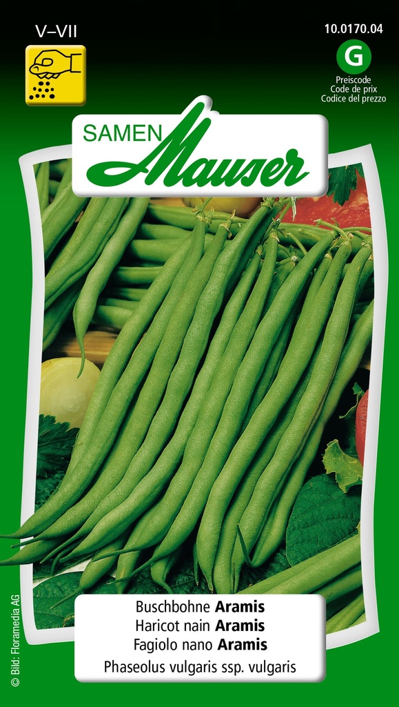 Haricot nain Aramis