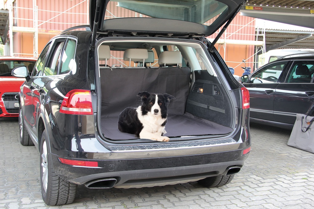 swisspet Couverture Billy 150cm