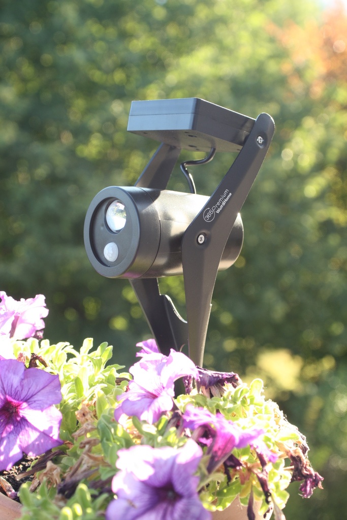 Spot 250lm Detect 365 PREMIUM