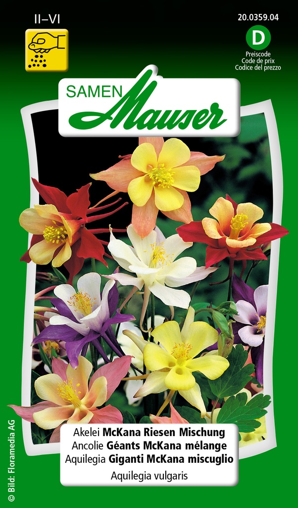 Aquilegia McKana mélange